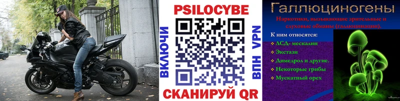 Галлюциногенные грибы мицелий  Купить  Гатчина 